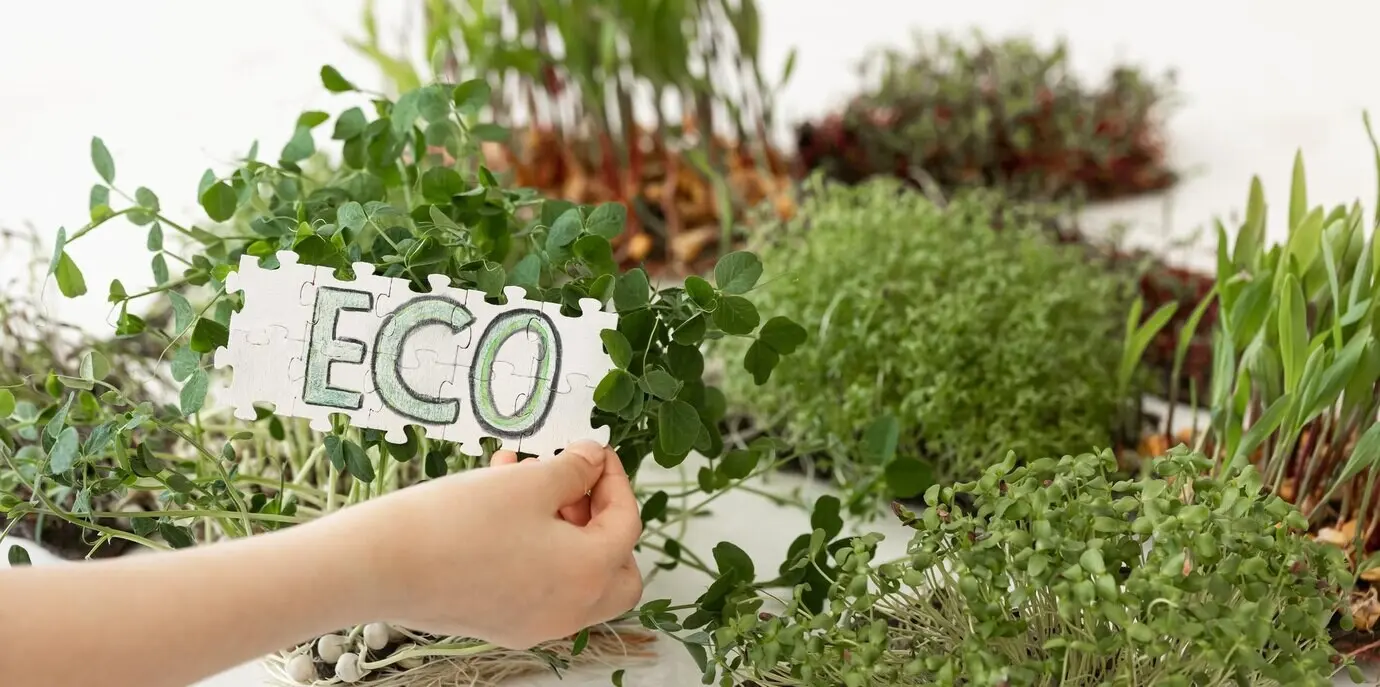 V rukou držené puzzle s nápisem „eco“ na pozadí mikrobylinek.